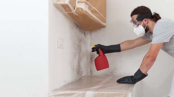 Professional Mold Removal technician working in Columbus, NJ