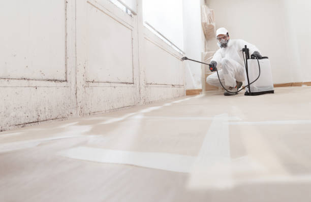 24/7 Emergency Mold Removal experts in Columbus, NJ